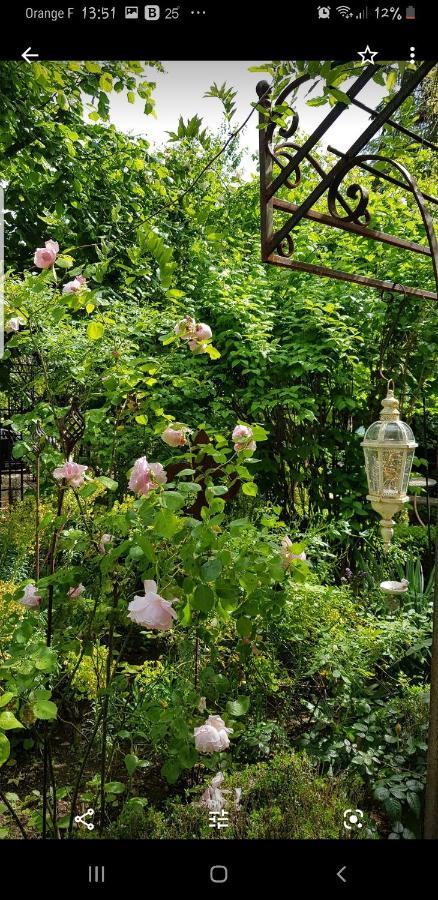 Chambres D'Hotes Jardin D'Ivoire Saint-Gervais-la-Forêt Eksteriør billede