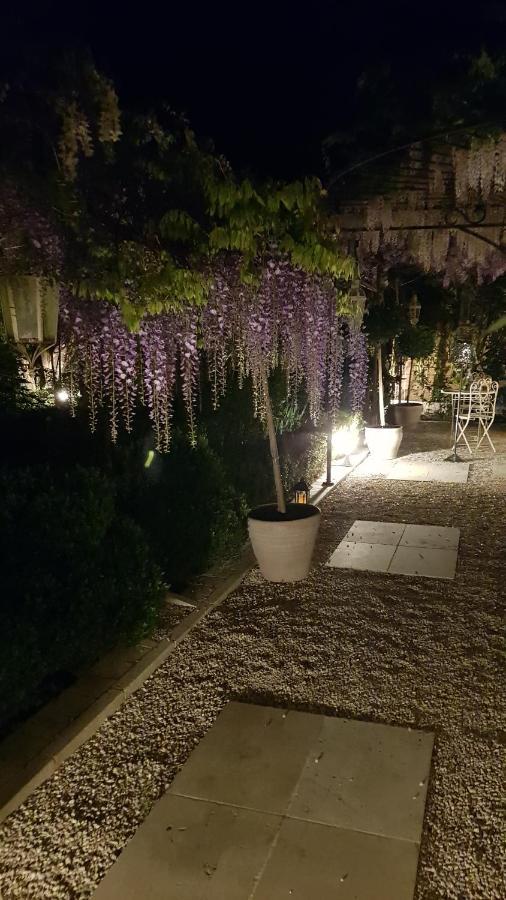 Chambres D'Hotes Jardin D'Ivoire Saint-Gervais-la-Forêt Eksteriør billede
